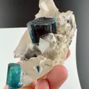 Indicolite from Afghanistan - image 2