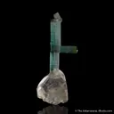 Indicolite Tourmaline on Quartz - image 1