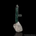 Indicolite Tourmaline on Quartz - image 2