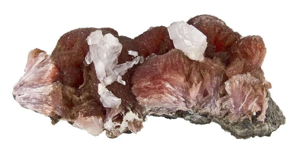Inesite - image 6