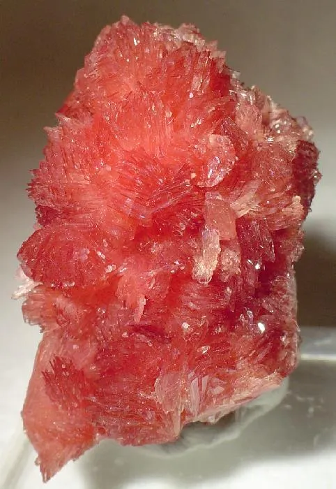 Inesite image