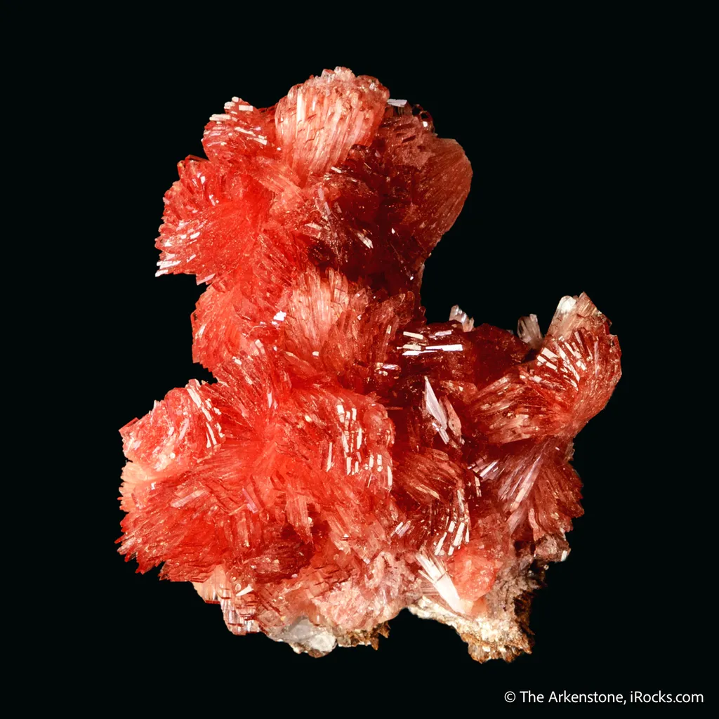 Inesite - image 4