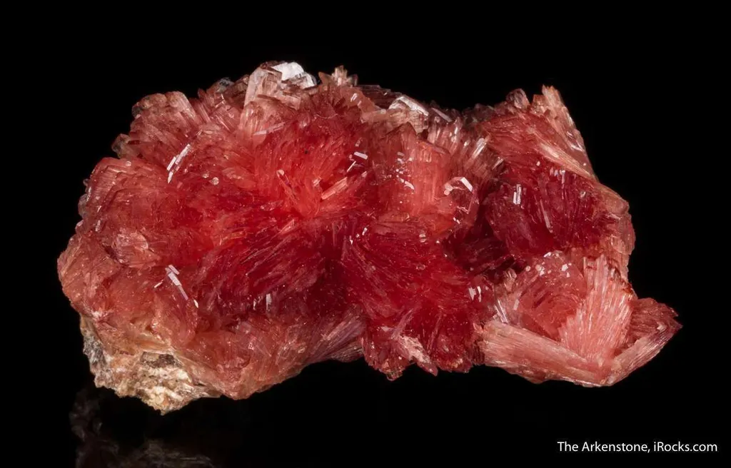 Inesite - image 6