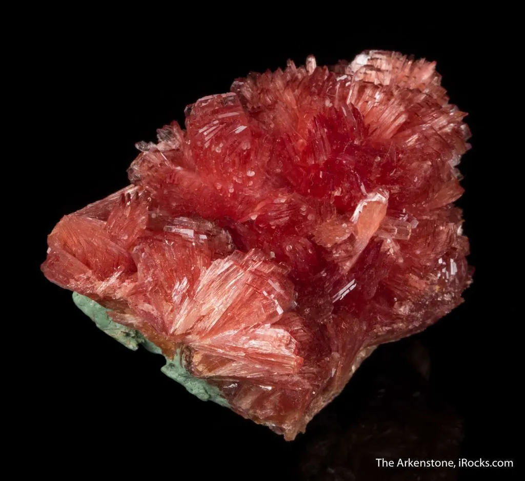 Inesite - image 5