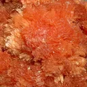 Inesite - image 2