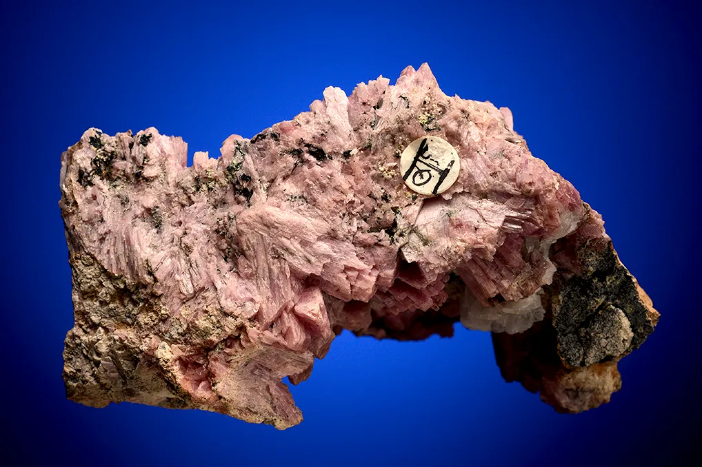 Inesite - image 3