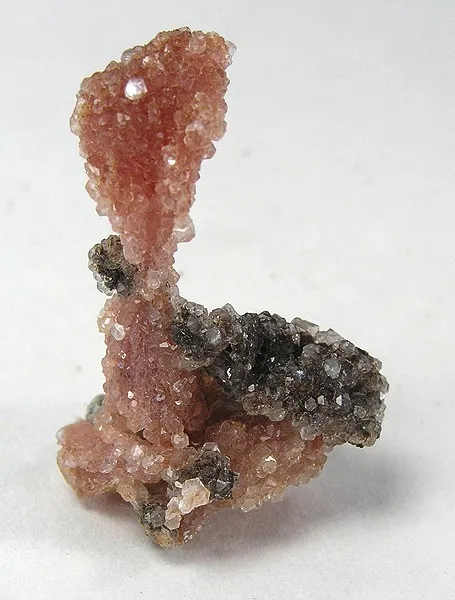 Inesite image