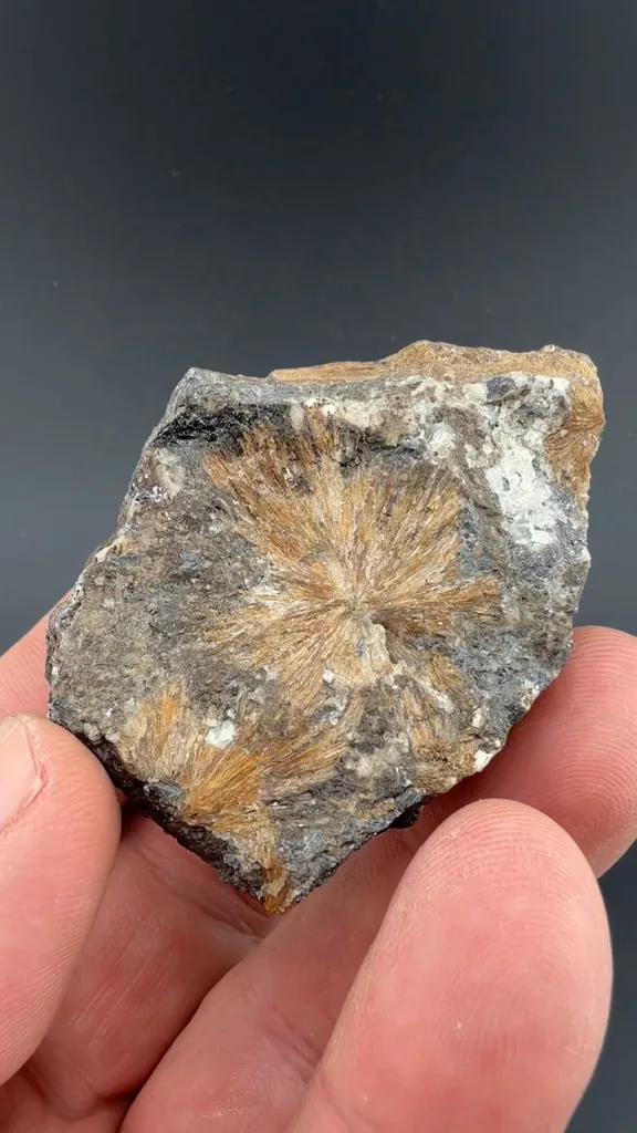 Inesite image