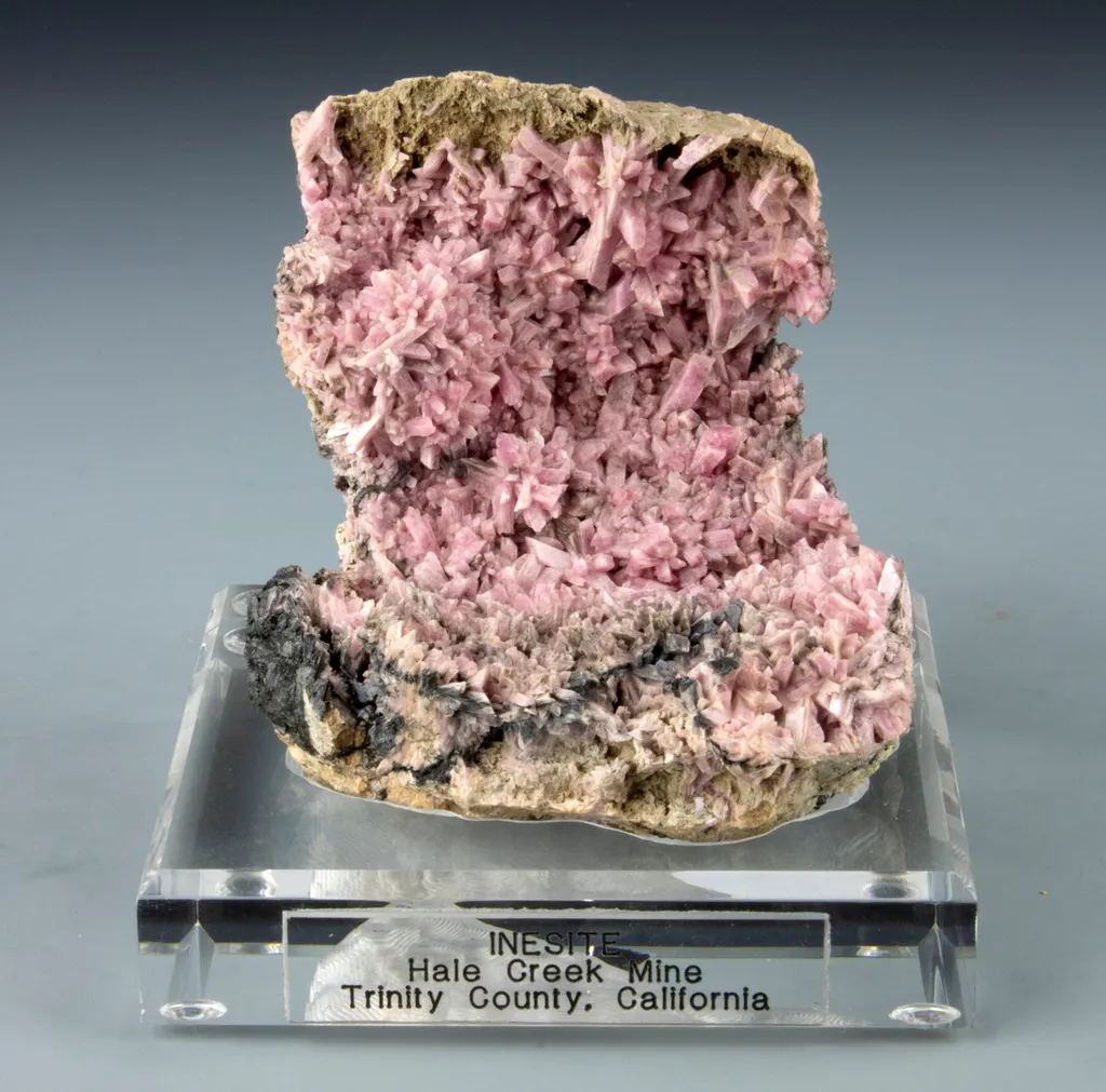 Inesite image