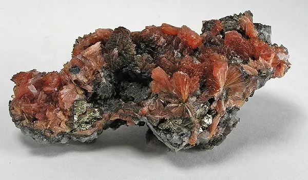 Inesite image