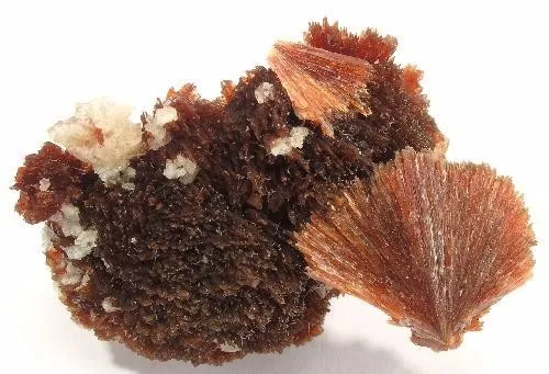 Inesite image