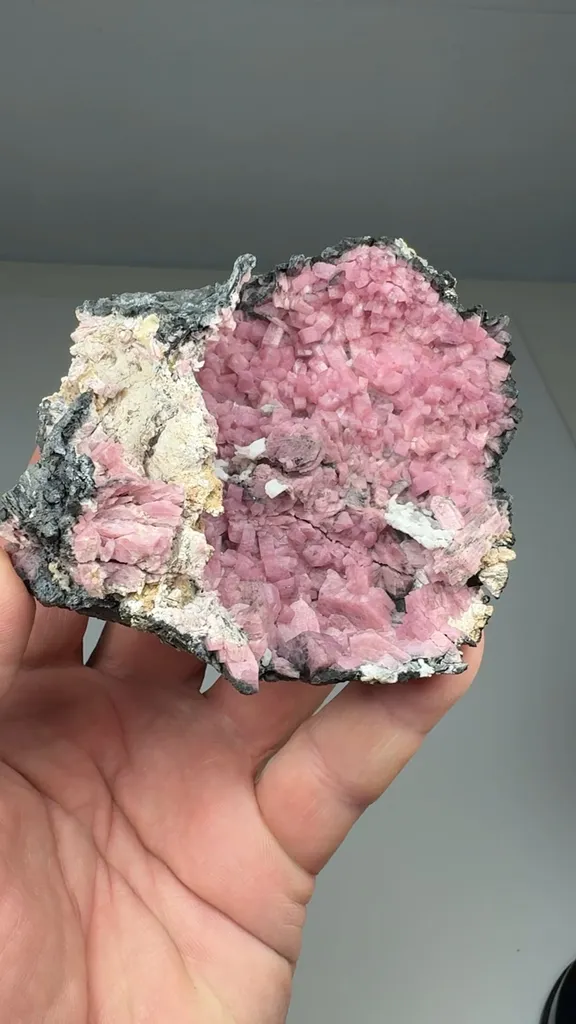 Inesite image