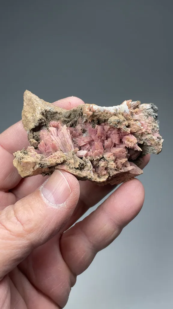 Inesite - image 3