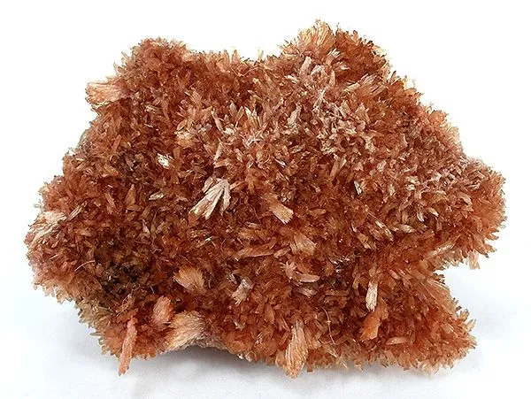 Inesite image