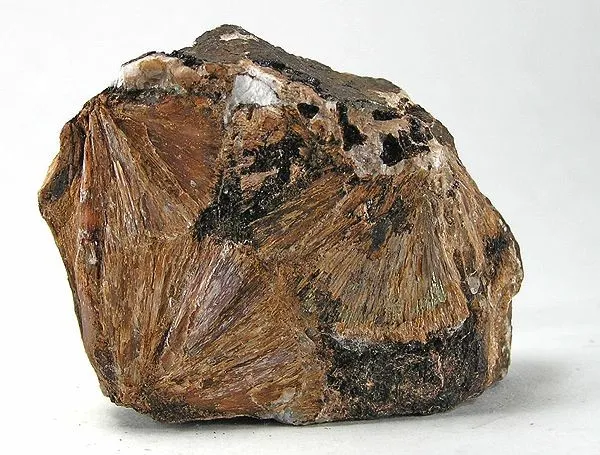 Inesite image