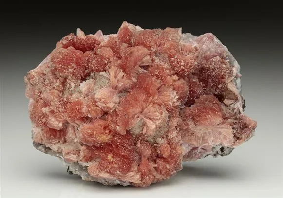 Inesite image