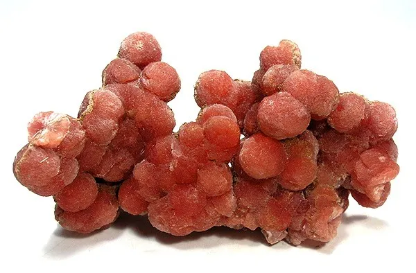 Inesite image