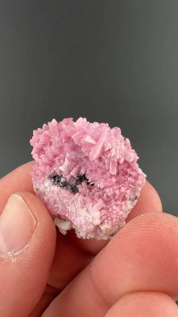 Inesite image