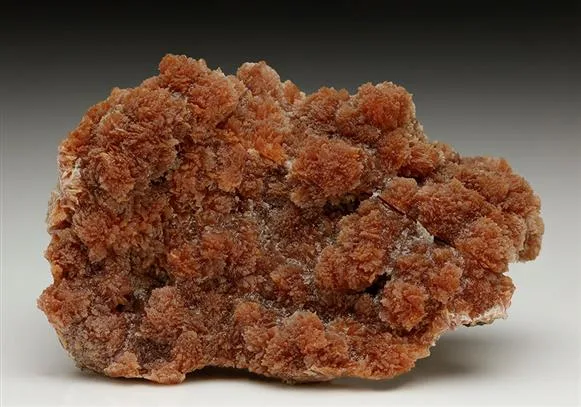 Inesite image