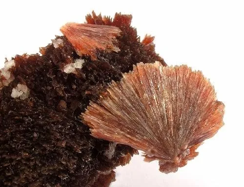 Inesite - image 2