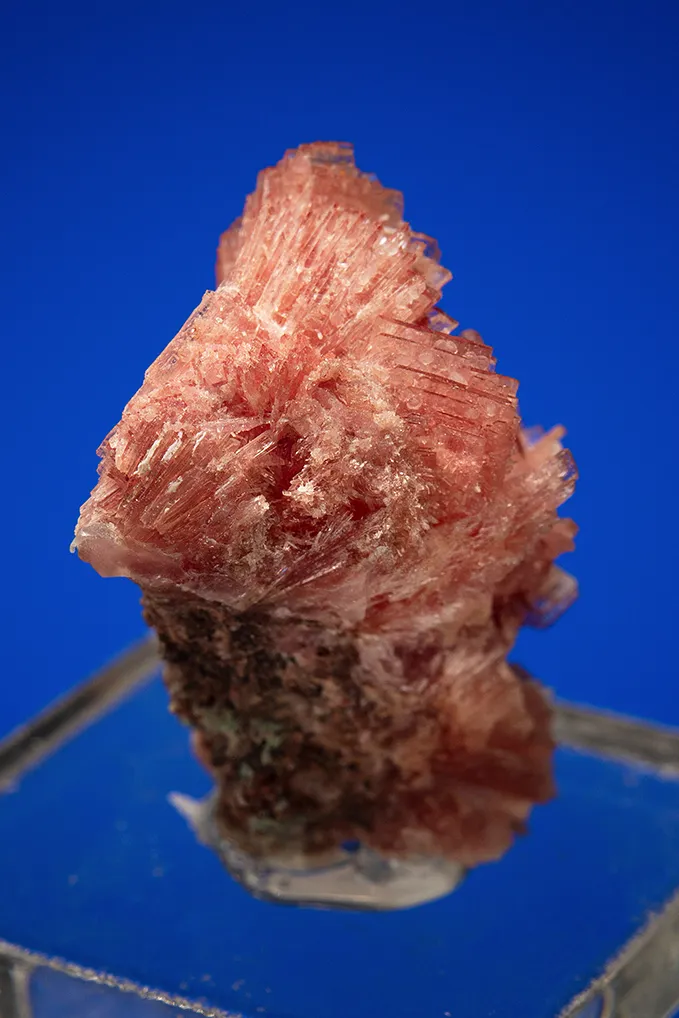 Inesite - image 3