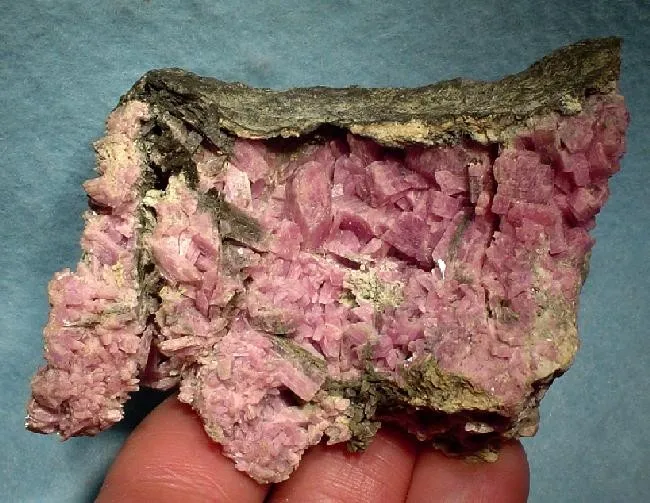 Inesite image