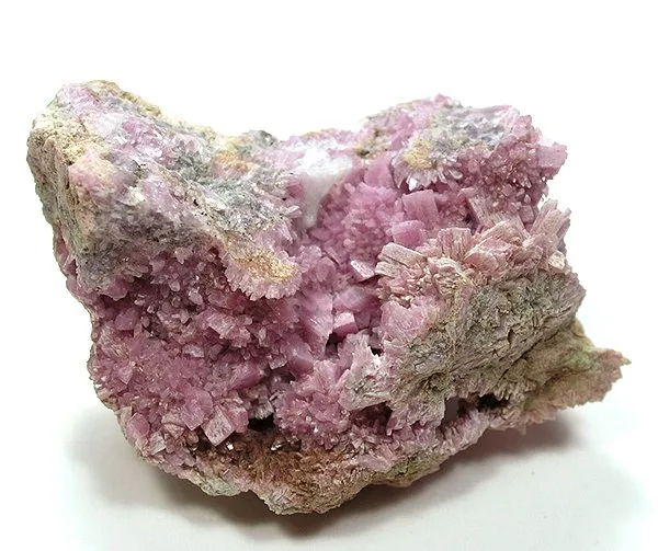 Inesite image