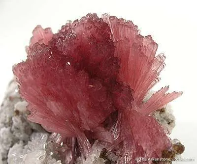 Inesite - image 2