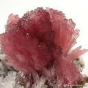 Inesite - image 2