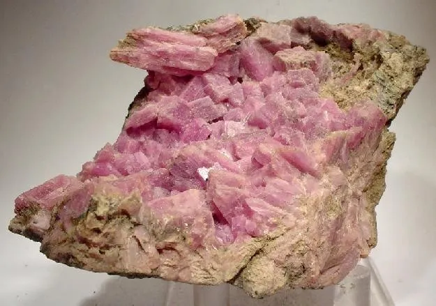 Inesite image