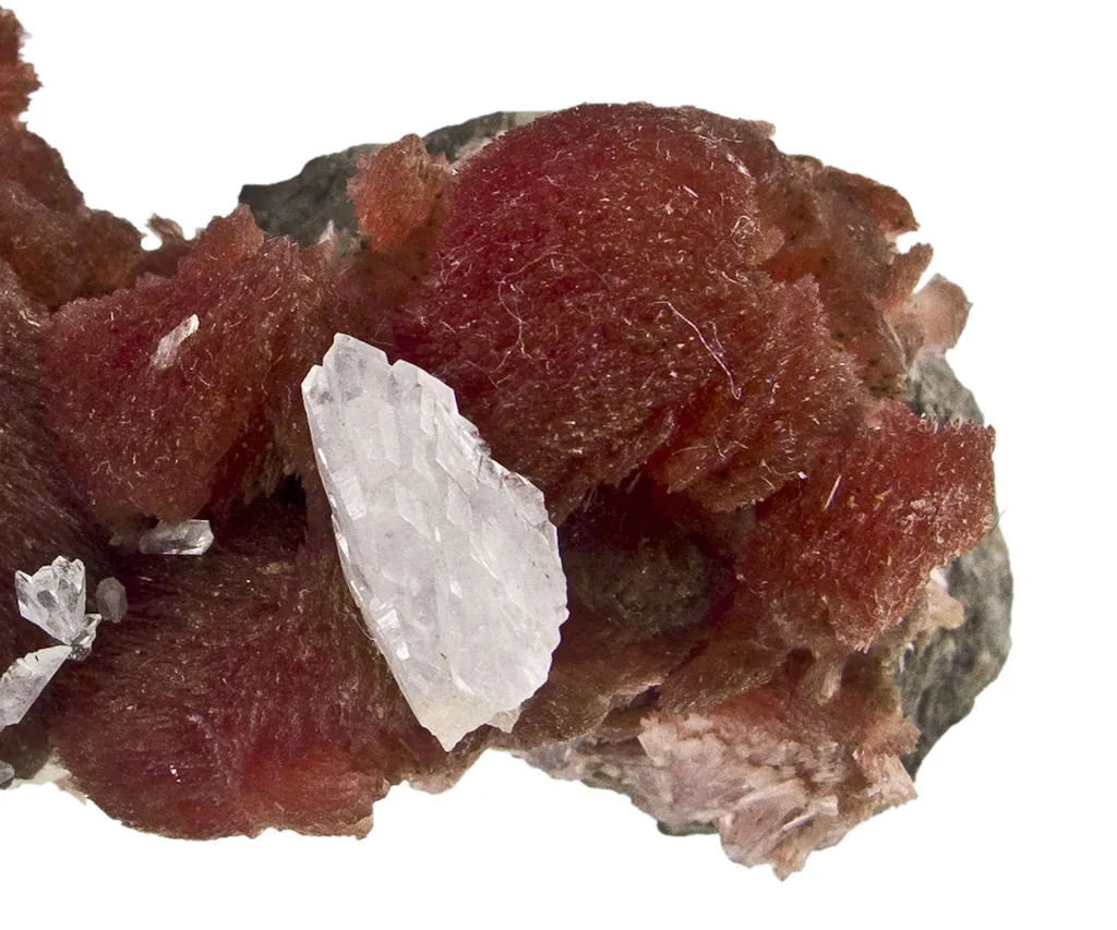 Inesite - image 3
