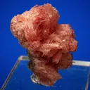 Inesite - image 2