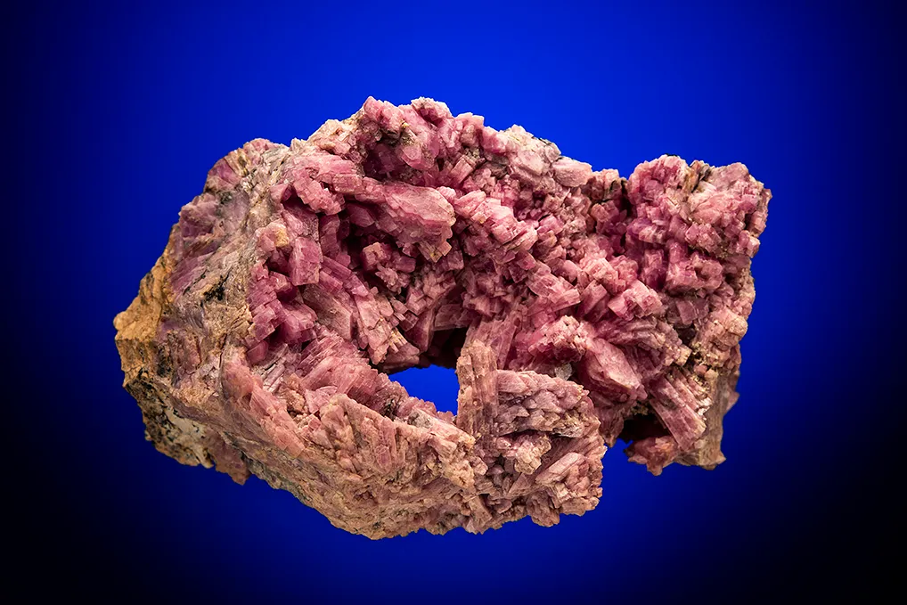 Inesite image