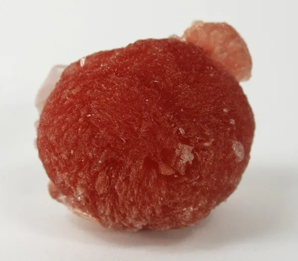 Inesite image