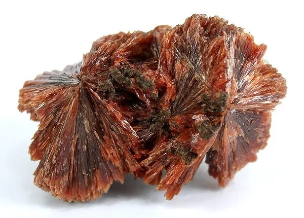 Inesite image