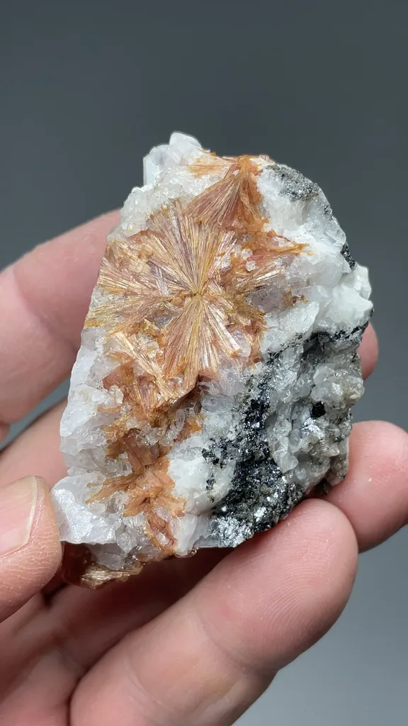 Inesite - image 2