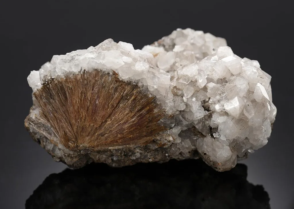Inesite image