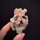 Inesite and Fluorapophyllite-(K), on Hubeite - image 2