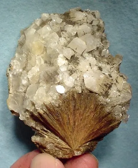 Inesite, Apophyllite image