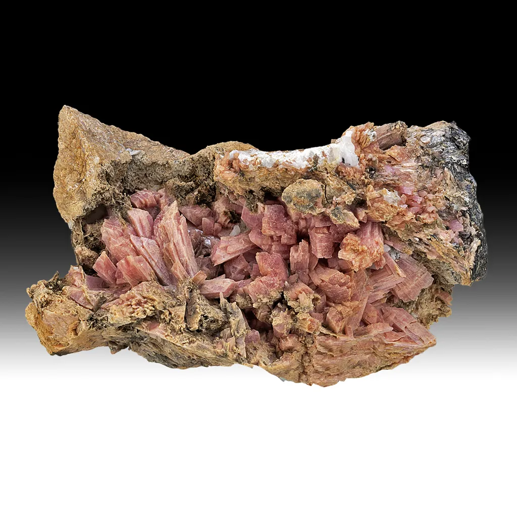 Inesite - image 2