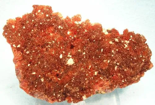 Inesite image