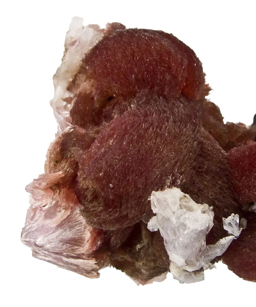 Inesite - image 2