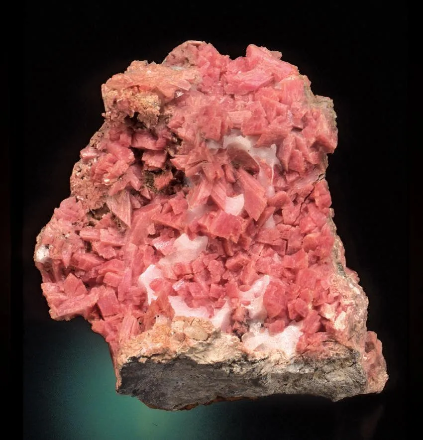 Inesite image