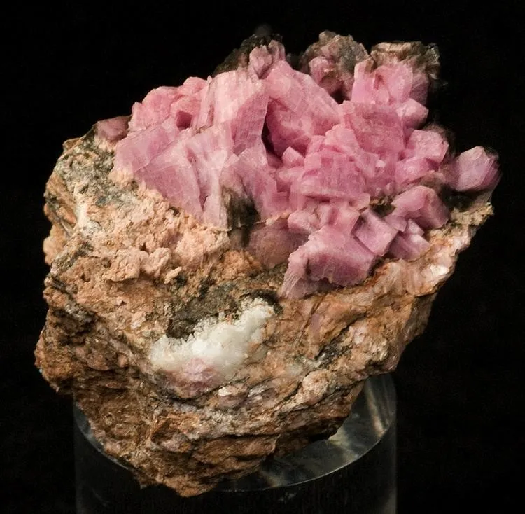 Inesite image
