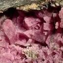 Inesite - image 2