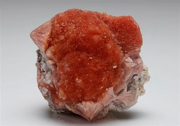Inesite image