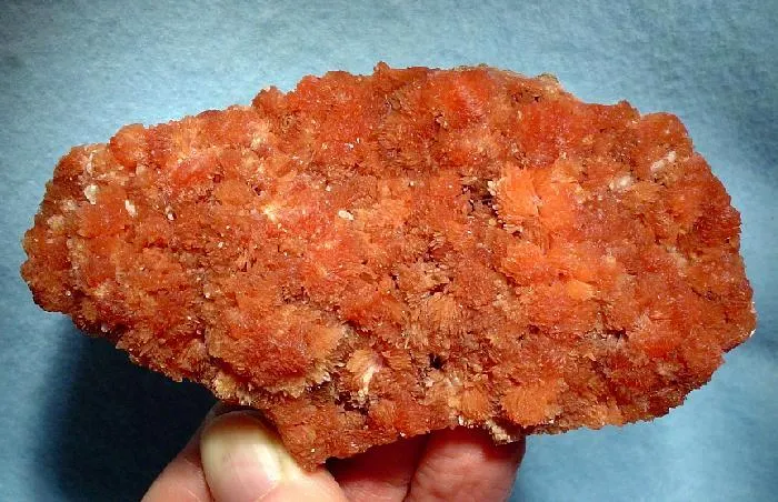 Inesite image