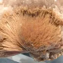 Inesite, Datolite - image 2
