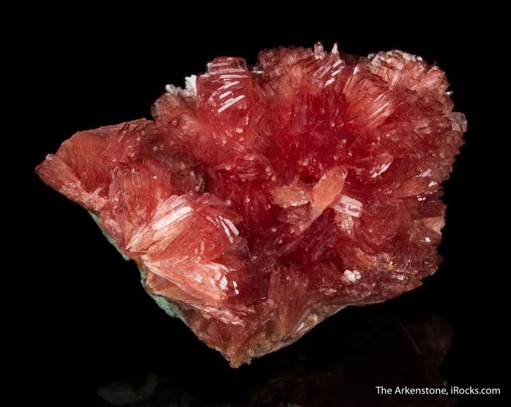 Inesite - image 4