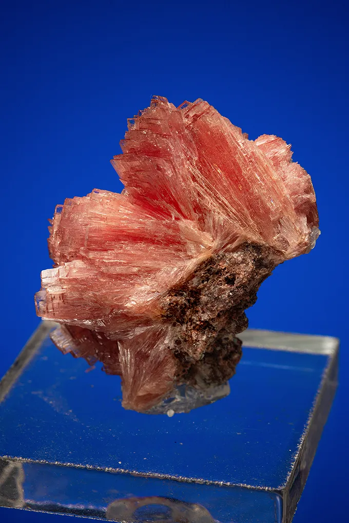 Inesite - image 4